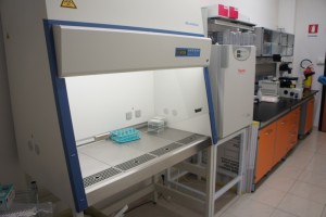 CAMERA STERILE